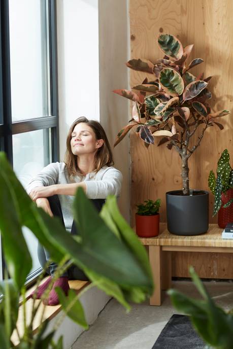 b.for soft rund 18cm anthrazit